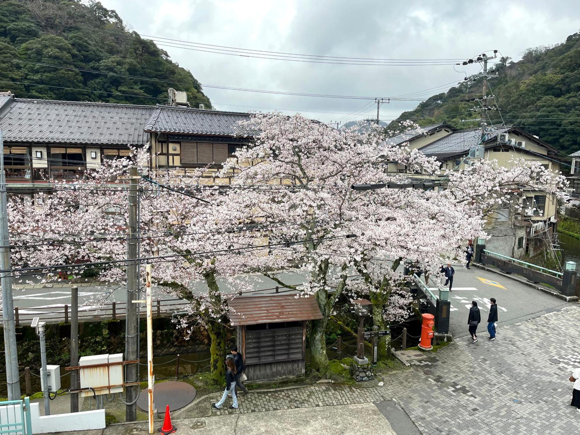 城崎温泉一棟貸し　旅宿yadokari Toyooka  Dış mekan fotoğraf