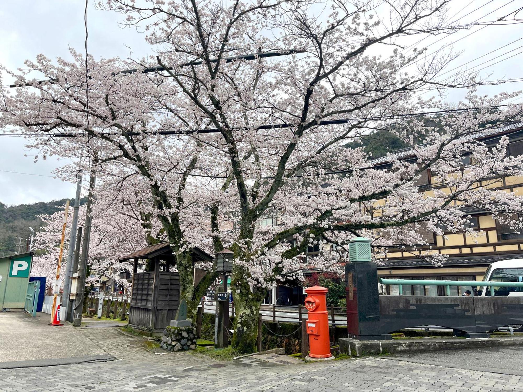 城崎温泉一棟貸し　旅宿yadokari Toyooka  Dış mekan fotoğraf
